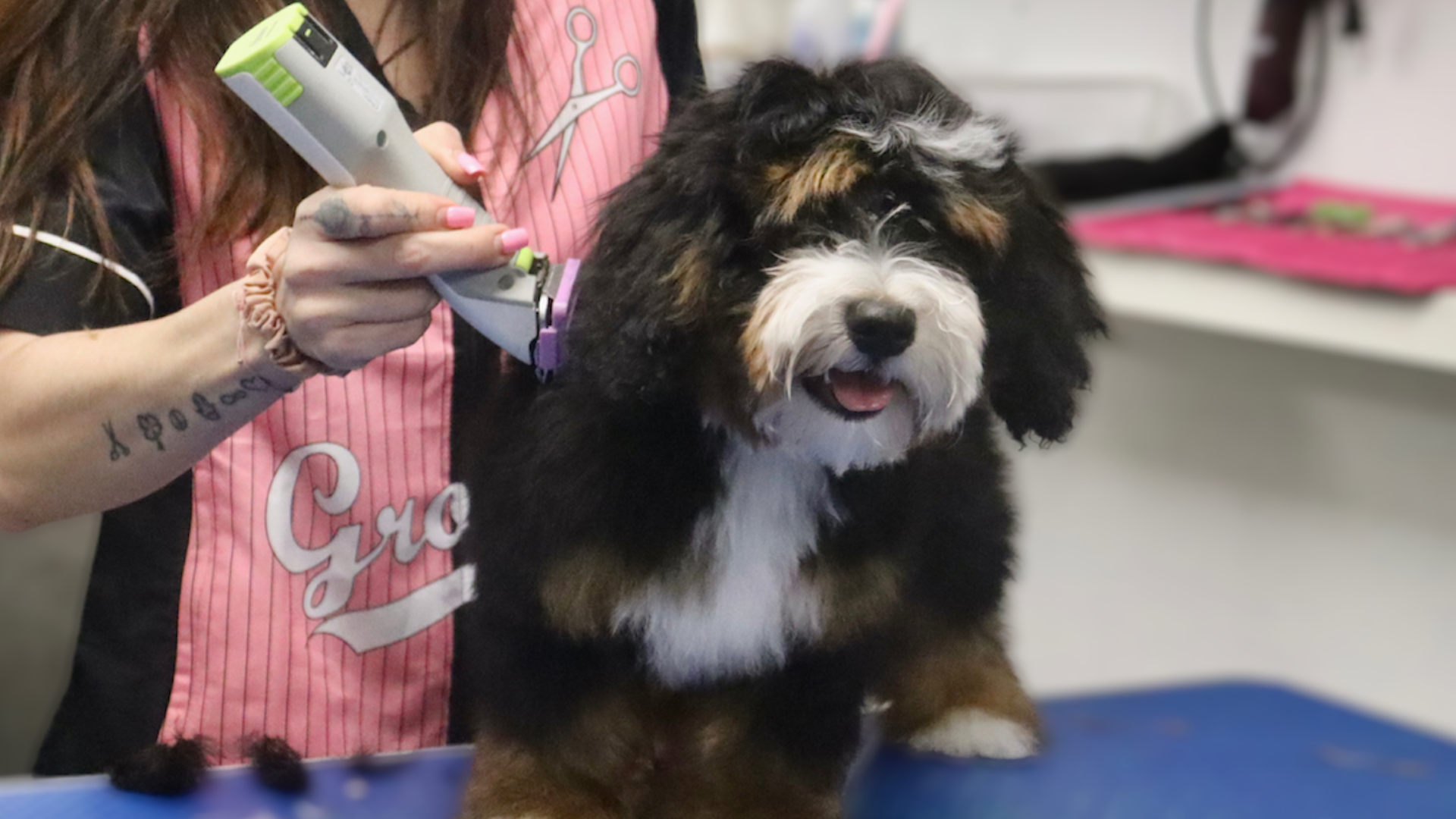 Design sem nome (44)